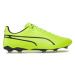 Puma Topánky King Match Fg/Ag 107570 04 Zelená