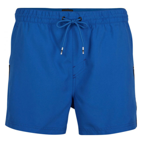 O'Neill PM CALI PANEL SHORTS Pánske šortky do vody, modrá, veľkosť