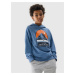 Boys' 4F Hoodie - Blue