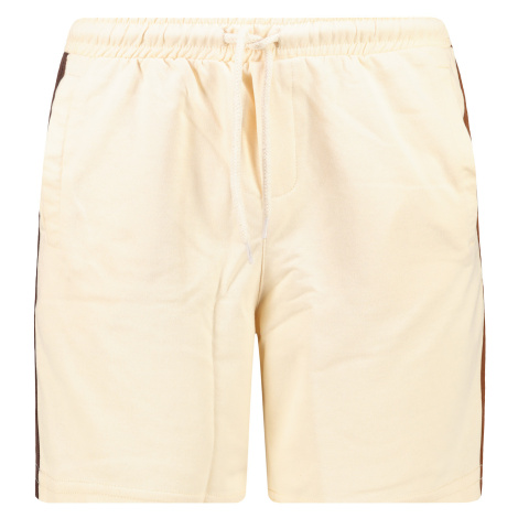 Trendyol Beige Men's Regular Fit Shorts