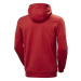 Helly Hansen Logo Hoodie M 33977-163