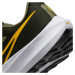 Pánske bežecké topánky Pegasus 39 M FD0785-300 - Nike