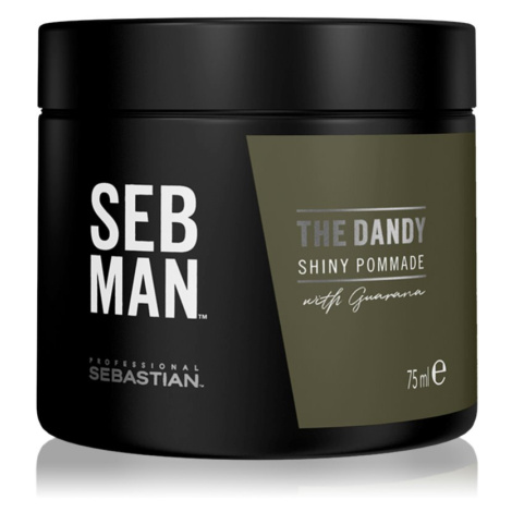 Sebastian Professional SEB MAN The Dandy pomáda na vlasy pre prirodzenú fixáciu