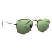 Ray-Ban Frank Legend Gold RB3857 919631 51