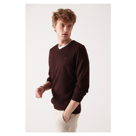 Avva Men's Burgundy V Neck Wool Blended Regular Fit Knitwear Sweater