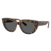 Ray-ban  Occhiali da Sole  Doreen RB2286 1292B1  Slnečné okuliare Hnedá