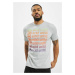 Men's T-shirt Brisbane gray