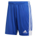 Pánske šortky Tastigo19 DP3682 Royal Blue and White - Adidas Královská modř