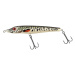 Salmo wobler jack 18 sinking limited edition amur pike 18 cm