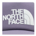 The North Face Šiltovka Tnf Logo NF0A3FM3N141 Fialová