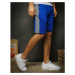 Men's blue sweatpants SX2047