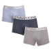 3PACK pánske boxerky Calvin Klein viacfarebné (NB3130A-PZD)