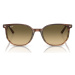 Ray-ban  Occhiali da Sole  Elliot RB2197 13920A  Slnečné okuliare Hnedá