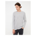 LC Waikiki Crew Neck Long Sleeve Thin Men's Knitwear Sweater