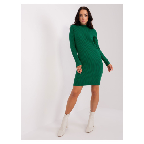 Dark Green Women's Ribbed Knit Dress