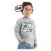 Denokids Rawr Dino Boy Gray Melange Sweatshirt