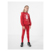 Dievčenské legíny 4F JUNIOR GIRLS LEGGINGS JLEG004-62S-RED