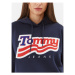 Tommy Jeans Mikina DW0DW17689 Tmavomodrá Relaxed Fit