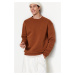 Trendyol Brown Oversize/Wide Cut Half Turtleneck Letter Embroidered Sweatshirt