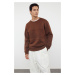 Trendyol Brown Oversize/Wide Cut Text Embroidered Inside Polar Fleece Sweatshirt