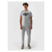 Men's jogger sweatpants 4F - grey