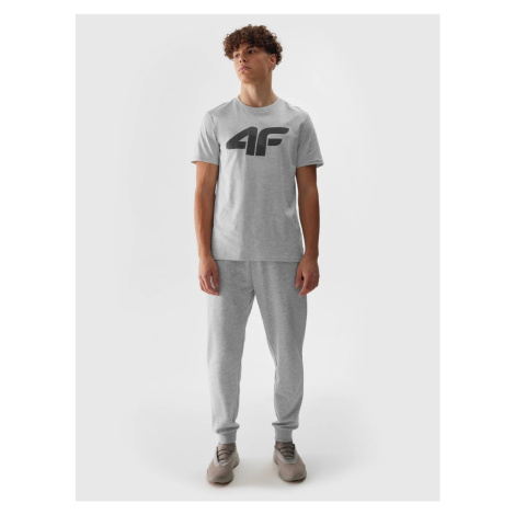Men's jogger sweatpants 4F - grey