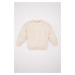 DEFACTO Baby Boy Crew Neck Sweater