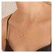 Ania Haie N038-03G Ladies Necklace - Smooth Twist