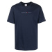 Tommy Hilfiger Pánske tričko Classic Fit DM0DM16825C87 M