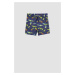 DEFACTO Boys' Shark Patterned Swimsuit