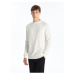 LC Waikiki Crew Neck Long Sleeve Men's Knitwear Sweater