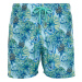 Trendyol Blue Standard Size Pineapple Printed Swim Shorts