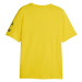 Puma BVB FTBLCORE GRAPHIC TEE Pánske tričko, žltá, veľkosť