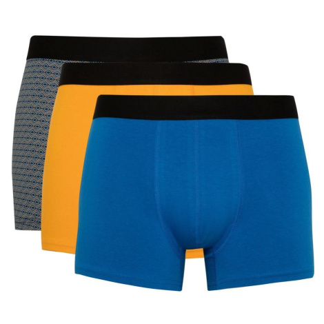 DEFACTO Regular Fit 3-Piece Boxer