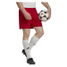 adidas ENT22 SHO Pánske futbalové šortky, červená, veľkosť