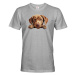Pánské tričko s potlačou Labradorský retríver - tričko pre milovníkov psov