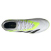 adidas PREDATOR ACCURACY.3 IN Pánska halová obuv, biela, veľkosť 43 1/3