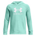 Boys' sweatshirt Under Armour Rival Fleece BL Hoodie