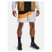 Under Armour Shorts UA 21230 Woven Shorts-GRY - Men