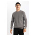 DEFACTO Standard Fit Crew Neck Sweater