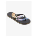 Men's flip-flops Quiksilver MOLOKAI ART