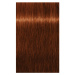 Schwarzkopf Professional IGORA Royal Absolutes farba na vlasy odtieň 5-60 Light Brown Chocolate 