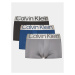 Calvin Klein Underwear Súprava 3 kusov boxeriek 000NB3074A Farebná