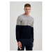 DEFACTO Standard Fit Patterned Crew Neck Sweater