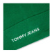Tommy Jeans Čiapka Tjw Linear Logo Beanie AW0AW15843 Zelená