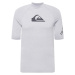 QUIKSILVER Funkčné tričko 'ALL TIME'  sivá melírovaná / čierna