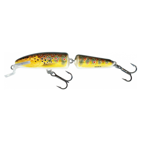 Salmo wobler fanatic floating trout - 7 cm