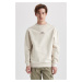 DEFACTO Boxy Fit Crew Neck Printed Sweatshirt