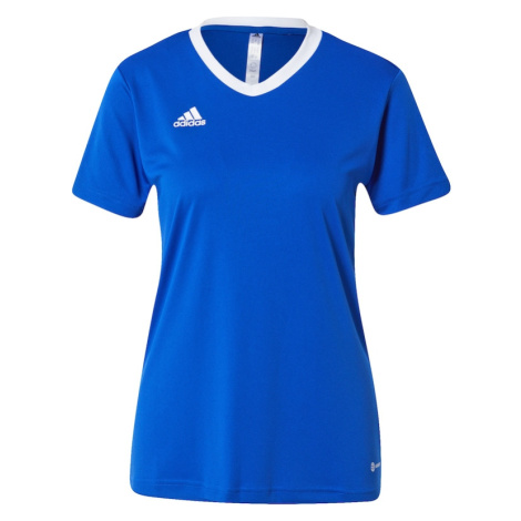 ADIDAS PERFORMANCE Dres 'Entrada 22'  kráľovská modrá / biela