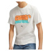 Puma Graffiti Tee M 622513 02 tričko